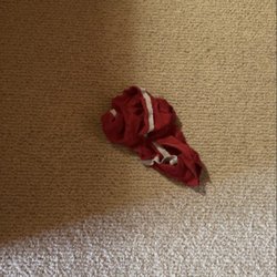San Juan Property Management - Left behind underwear