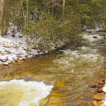 Linn Run State Park - The stream was flowing pretty fully that day. - Parks Near Me - Rector, Pennsylvania