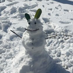Catalon at Lago Mar - Snow day in Lago Mar 2025