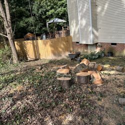 Premier Tree Service