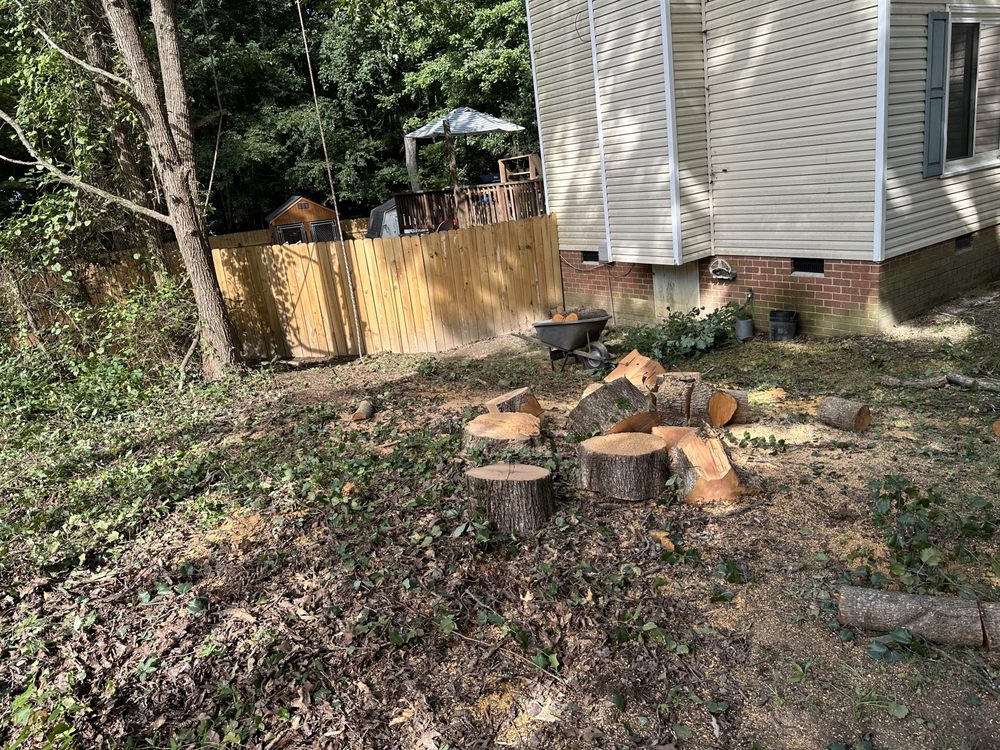 Premier Tree Service - tree service in Tuckahoe, VA