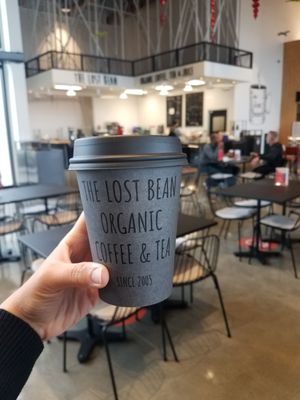The Lost Bean by null