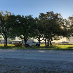 Bofinger's Tree Service