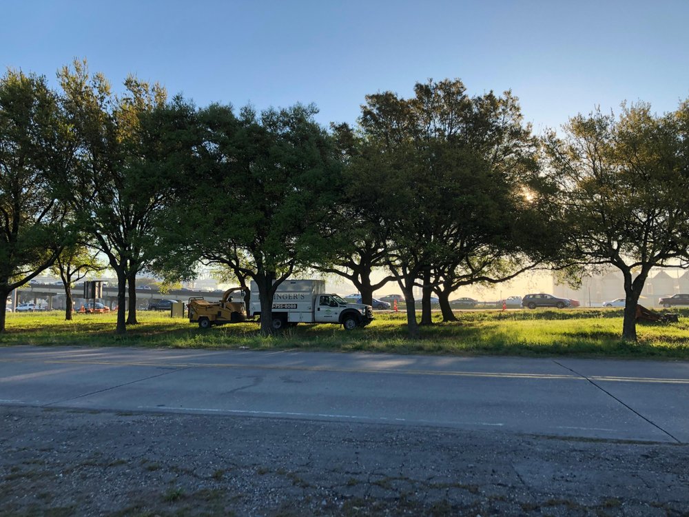 Bofinger's Tree Service - tree service in Baton Rouge, LA