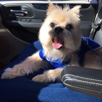Pooch Parlor - Pet Groomers Near Me - Leonia, New Jersey
