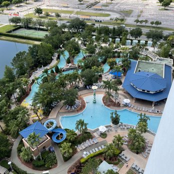 Hilton Orlando - Pool - Hotels Near Me - Orlando, Florida