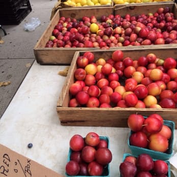 Forest Hills Greenmarket - Farmers Market Near Me - Forest Hills, New York
