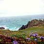 Photo of National Coastwatch
