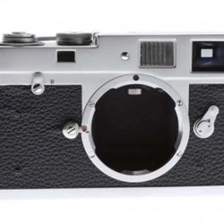 Seldom Open Camera Store