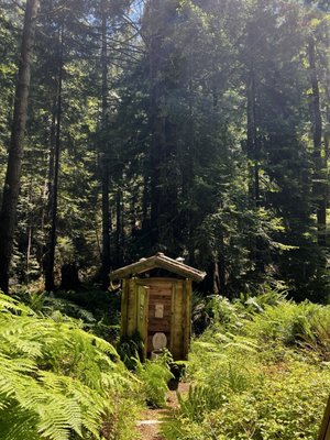 Pygmy Forest Discovery Trail by null