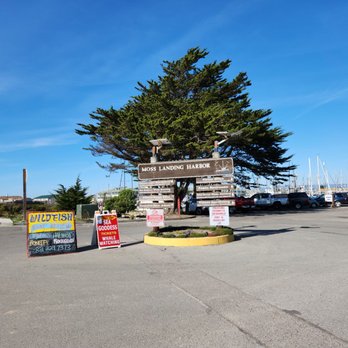 Boat Beticia - Wild Fish - If you see the Wild Fish Boat Benicia sign, outside Moss Landing Harbor. Follow and get your fresh fish! - Seafood Markets Near Me - Moss Landing, California Boat Beticia - Wild Fish - If you see the Wild Fish Boat Benicia sign, outside Moss Landing Harbor. Follow and get your fresh fish! - Seafood Markets Near Me - Moss Landing, California