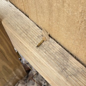 Armstrong Fence - nails sticking out of the fence - Fences & Gates Near Me - Jacksonville, Florida Armstrong Fence - nails sticking out of the fence - Fences & Gates Near Me - Jacksonville, Florida