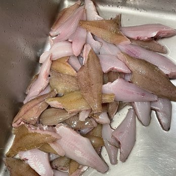 J & M Sportfishing - Sanddabs cleaned and ready for the freezer - Fishing Near Me - Monterey, California J & M Sportfishing - Sanddabs cleaned and ready for the freezer - Fishing Near Me - Monterey, California