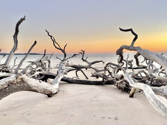 Big Talbot Island State Park by null
