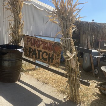 Mother Nature's Farm - Pumpkin patch. - Farms Near Me - Gilbert, Arizona Mother Nature's Farm - Pumpkin patch. - Farms Near Me - Gilbert, Arizona