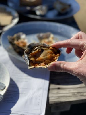 Hog Island Oyster Farm by null