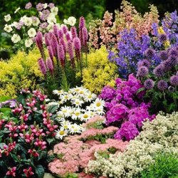 Davidson Greenhouse & Nursery