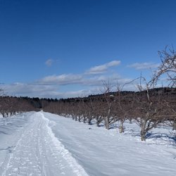 Five Fields Farm Gyger Orchards - Apple orchard trail