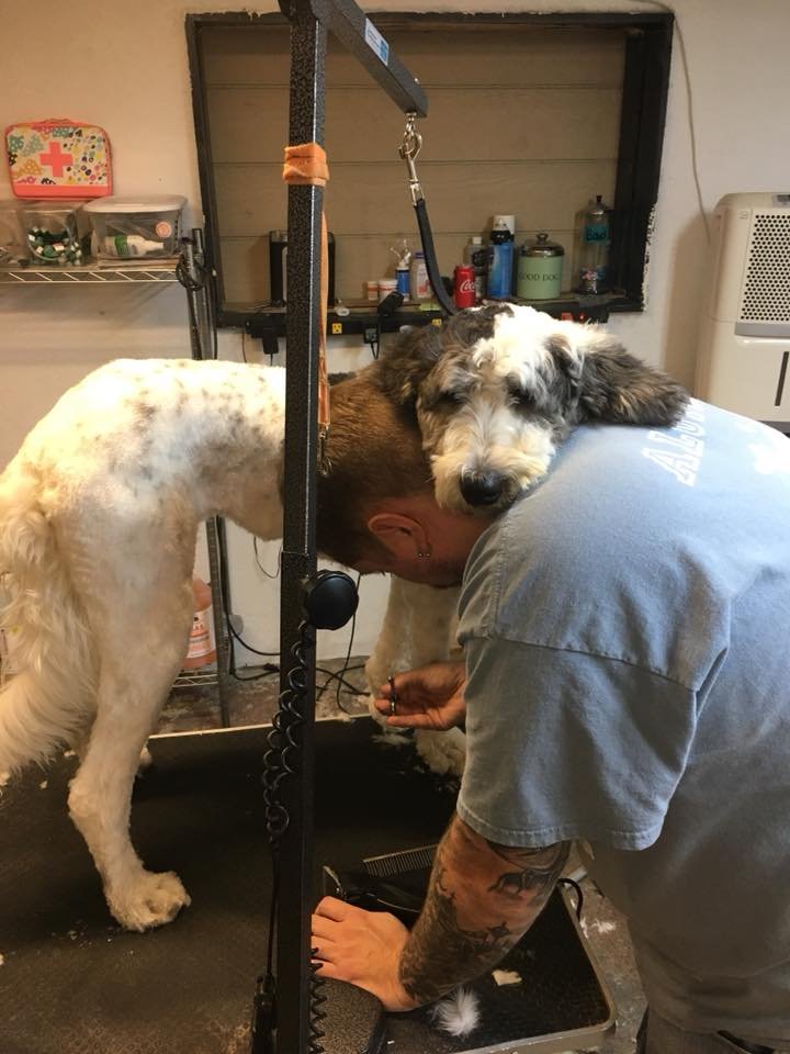 SCRUB A DUB PUP Updated June 2024 350 Old Colony Rd, Norton