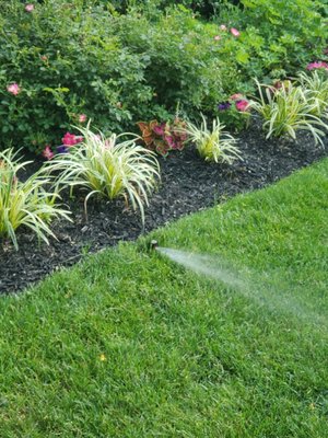 Sprinkler Design, Installation & Maintenance - Sprinkler Design, Installation & Maintenance
Sprinkler System Installations
Whether it is your first sprinkler system, an expansion, or replacement, our team will custom design and meticulously install a sprinkler system perfect for you.
Here at A & M Solutions, we understand that system design and specification are key to the success of your sprinkler system. Our irrigation systems are designed specifically to employ the latest water conservation technologies available in order to save valuable resources — both precious water and money. Every component we use is selected specifically to deliver the right amount of water at precisely the right time.
Other Sprinkler Services
Our sprinkler services include, but are not limited to:
Commercial Property Services– Do you own a business or commercial property that has landscaping needs? We offer quality commercial sprinkler repair and installation services. Our experts can handle projects of many sizes and you can count on us to keep your business lush and green.
Upgrades – Aging systems can benefit tremendously from new sensors, the latest efficient sprinkler heads, and other innovative parts upgrades.
Seasonal Service – Complex mechanical systems such as residential sprinklers should always follow a maintenance schedule to prolong their lifespan. We provide excellent seasonal services, and sprinkler maintenance packages, so you don’t have to worry about a thing.
Pump Installation, Repair & Maintenance – Your pump is one of the most crucial elements of your sprinkler system. It needs maintenance at every level including pump filters, electronics, and mechanical components. With our services, your pump will remain in excellent condition for the longest life possible.
Backflow Preventer Repair & Replacement – Keeping your drinking water safe from irrigation water is a crucial component. We’ll keep your backflow or pressure vacuum breaker in excellent working order so that you can rest easy.
Special Services – We offer a plethora of special services to meet our clients’ needs. For instance, we help clients get off the meter by installing lake pumps & well and pump irrigation systems. If you need specialty irrigation services, you can count on A & M Solutions to have a solution for you.
Homeowners like you want a healthy lush lawn, without the pricey water bill. We are determined to help you create a lawn and landscape you can brag about, without much effort. Taking advantage of our services means you’ll enjoy a set it and forget it irrigation system that will always give your landscape the precise amount of water it needs for maximum health, and not a drop more. Sprinkler Design, Installation & Maintenance - Sprinkler Design, Installation & Maintenance
Sprinkler System Installations
Whether it is your first sprinkler system, an expansion, or replacement, our team will custom design and meticulously install a sprinkler system perfect for you.
Here at A & M Solutions, we understand that system design and specification are key to the success of your sprinkler system. Our irrigation systems are designed specifically to employ the latest water conservation technologies available in order to save valuable resources — both precious water and money. Every component we use is selected specifically to deliver the right amount of water at precisely the right time.
Other Sprinkler Services
Our sprinkler services include, but are not limited to:
Commercial Property Services– Do you own a business or commercial property that has landscaping needs? We offer quality commercial sprinkler repair and installation services. Our experts can handle projects of many sizes and you can count on us to keep your business lush and green.
Upgrades – Aging systems can benefit tremendously from new sensors, the latest efficient sprinkler heads, and other innovative parts upgrades.
Seasonal Service – Complex mechanical systems such as residential sprinklers should always follow a maintenance schedule to prolong their lifespan. We provide excellent seasonal services, and sprinkler maintenance packages, so you don’t have to worry about a thing.
Pump Installation, Repair & Maintenance – Your pump is one of the most crucial elements of your sprinkler system. It needs maintenance at every level including pump filters, electronics, and mechanical components. With our services, your pump will remain in excellent condition for the longest life possible.
Backflow Preventer Repair & Replacement – Keeping your drinking water safe from irrigation water is a crucial component. We’ll keep your backflow or pressure vacuum breaker in excellent working order so that you can rest easy.
Special Services – We offer a plethora of special services to meet our clients’ needs. For instance, we help clients get off the meter by installing lake pumps & well and pump irrigation systems. If you need specialty irrigation services, you can count on A & M Solutions to have a solution for you.
Homeowners like you want a healthy lush lawn, without the pricey water bill. We are determined to help you create a lawn and landscape you can brag about, without much effort. Taking advantage of our services means you’ll enjoy a set it and forget it irrigation system that will always give your landscape the precise amount of water it needs for maximum health, and not a drop more.