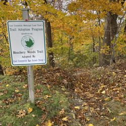 Bleachery Woods Trail - Trailhead at the back of St. Patrick's cemetery