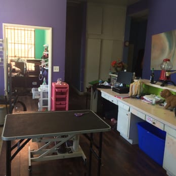 Discount Pets - Pet Groomers Near Me - Anaheim, California Discount Pets - Pet Groomers Near Me - Anaheim, California