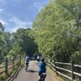 Photo of Doodle Trail