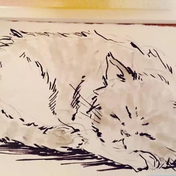 Cat Café - Cafeteria Near Me - Milan, Michigan