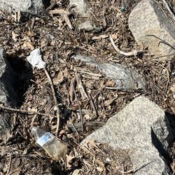 Tide Lock Park - Gotta love the "litter bugs". Lol.....