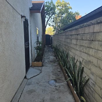 Family Tree Service - yard after - Landscaping Near Me Family Tree Service - yard after - Landscaping Near Me