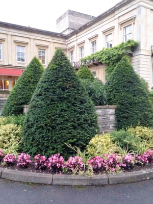 Bath Spa Hotel by null