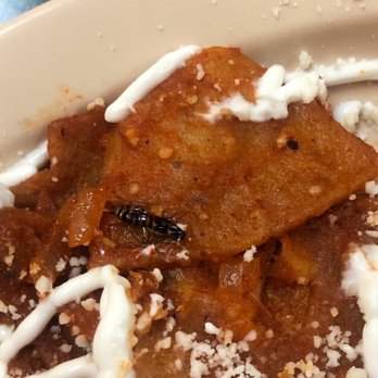 Antojitos Rincon de Guanajuato - Tijerilla en los chilaquiles - Mexican Near Me - Tustin, California