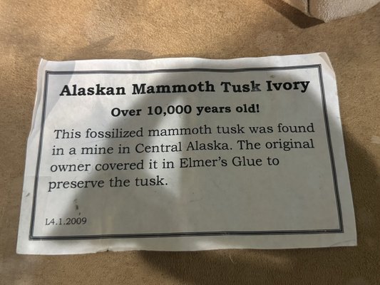 Alaska Museum of Science and Nature by null
