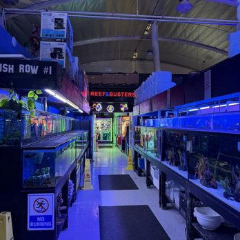 Lax Aquarium - Pet Stores Near Me - Los Angeles, California Lax Aquarium - Pet Stores Near Me - Los Angeles, California