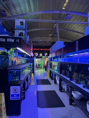 LAX Aquarium by null