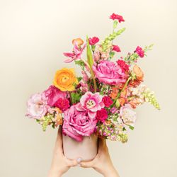 The English Garden - Sorbet
