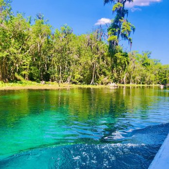 Silver Springs State Park - Makin' waves. - Tours Near Me - Silver Springs, Florida Silver Springs State Park - Makin' waves. - Tours Near Me - Silver Springs, Florida