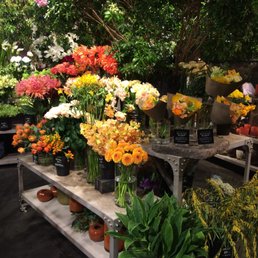 青山フラワーマーケット 18 Photos Florists 南池袋1丁目28 1 豊島区 東京都 Japan Phone Number Yelp