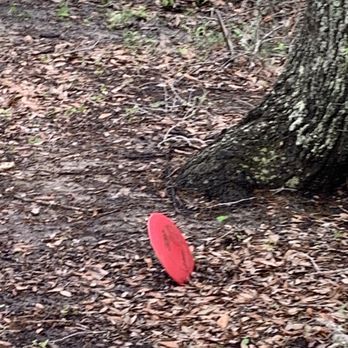Buccaneer State Park - Disc golf wet edistion. - Parks Near Me - Waveland, Mississippi Buccaneer State Park - Disc golf wet edistion. - Parks Near Me - Waveland, Mississippi