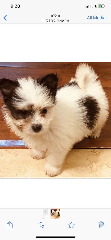 Jan-T Grooming & Pet Supplies Image