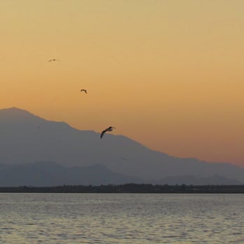 Salton Sea - Beaches Near Me - Desert Shores, California