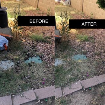 Timely Turds - Pet Waste Removal Near Me - Gilbert, Arizona
