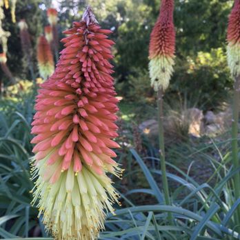 Palmengarten - Botanical Gardens Near Me - Frankfurt, HE