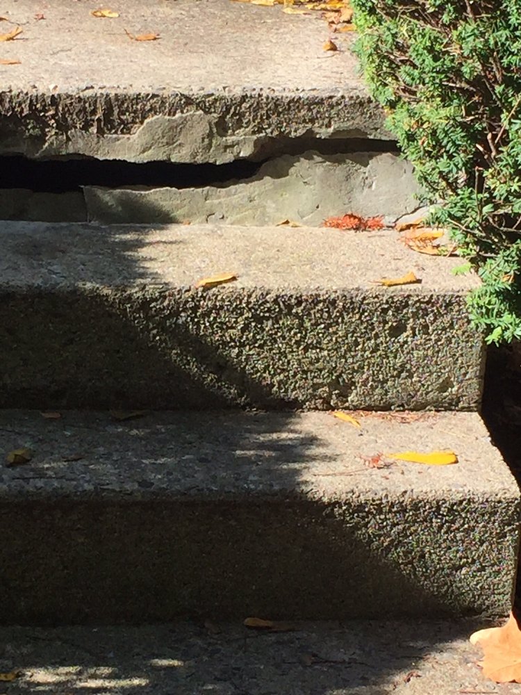 FIELD OF DREAMS LANDSCAPING Updated May 2024 17 Photos 1620 E