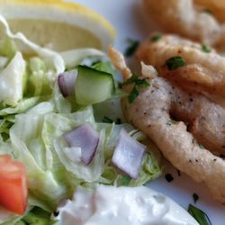 Gallini's Italian Restaurant - Starter,  excellent calamari.