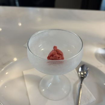 Allora - Raspberry sorbet between dishes - Wine Bars Near Me - Sacramento, California Allora - Raspberry sorbet between dishes - Wine Bars Near Me - Sacramento, California