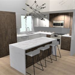 Blue Lotus Design - Kitchen Design Rendering 2- Modern kitchen- Omega Cabinets
