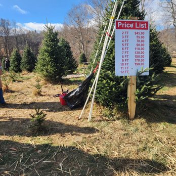 Panoramic View Christmas Tree Farm - Christmas Trees Near Me - Boone, North Carolina Panoramic View Christmas Tree Farm - Christmas Trees Near Me - Boone, North Carolina