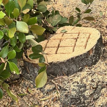 Go Green Landscape Construction - By: Go Green Landscape Company Tree removal - Landscaping Near Me - Vista, California Go Green Landscape Construction - By: Go Green Landscape Company Tree removal - Landscaping Near Me - Vista, California