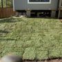 Photo of Addy Kays Lawn Care